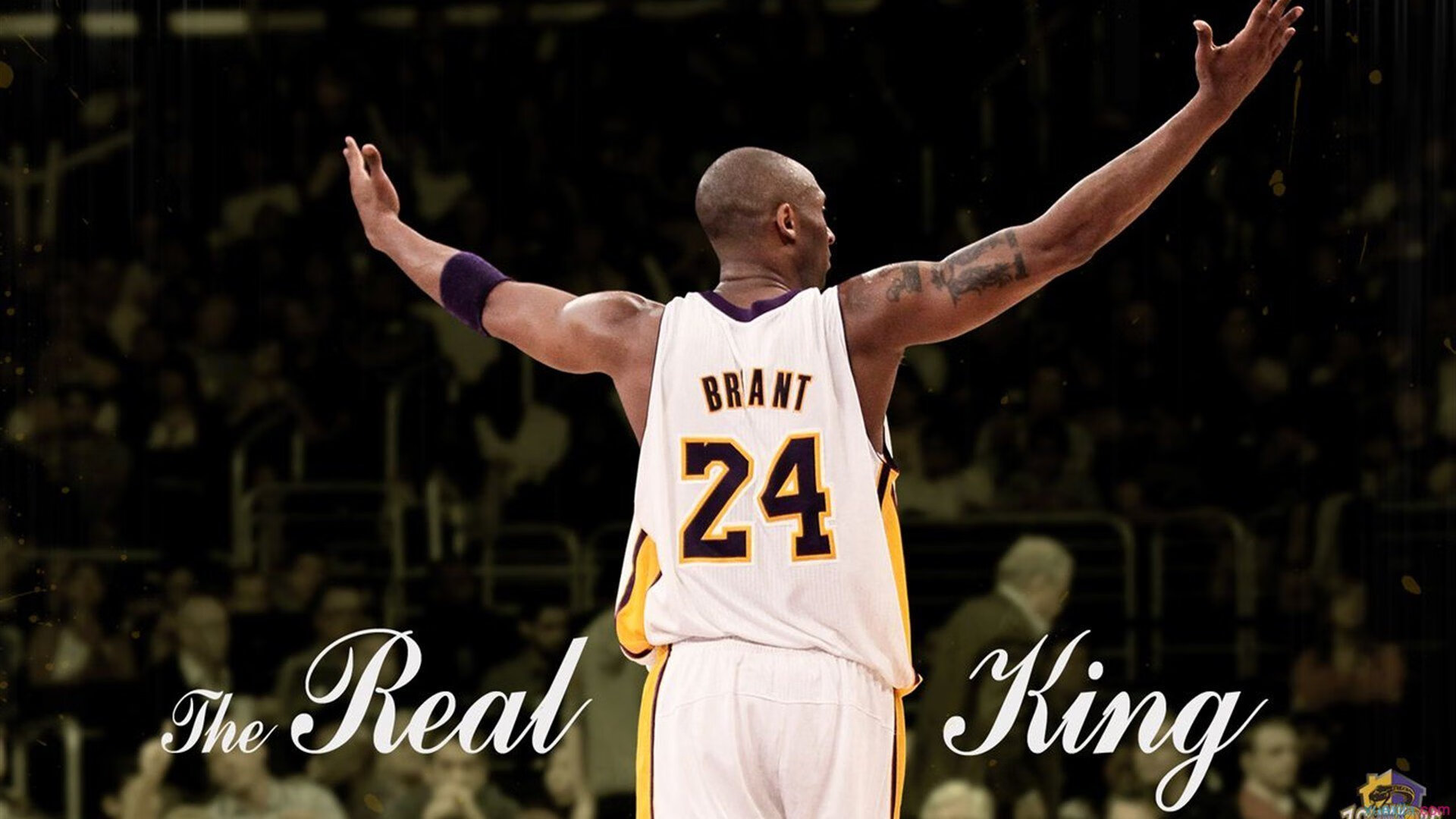 张宁力挺中国队:这支国羽,值得信赖!,羽坛张宁